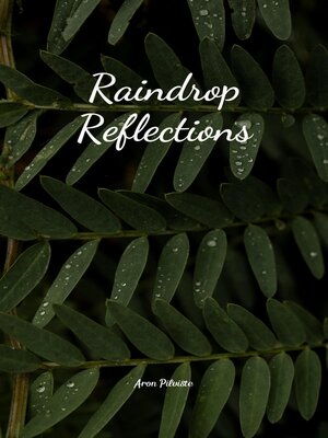 cover image of Raindrop Reflections